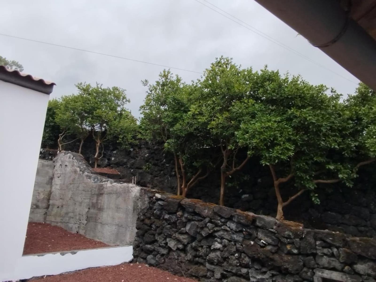 Villa Aldeia Da Gingeira São Mateus Exterior foto